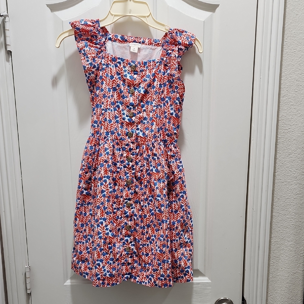 Crewcuts Floral Red and Blue Dress